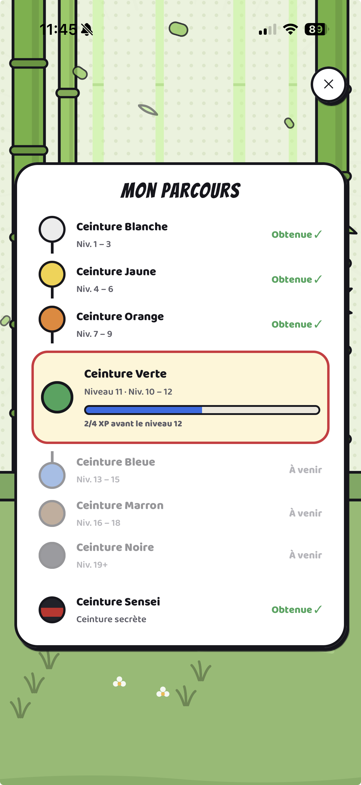 L'écran Mon parcours : l'échelle des ceintures et la barre d'expérience