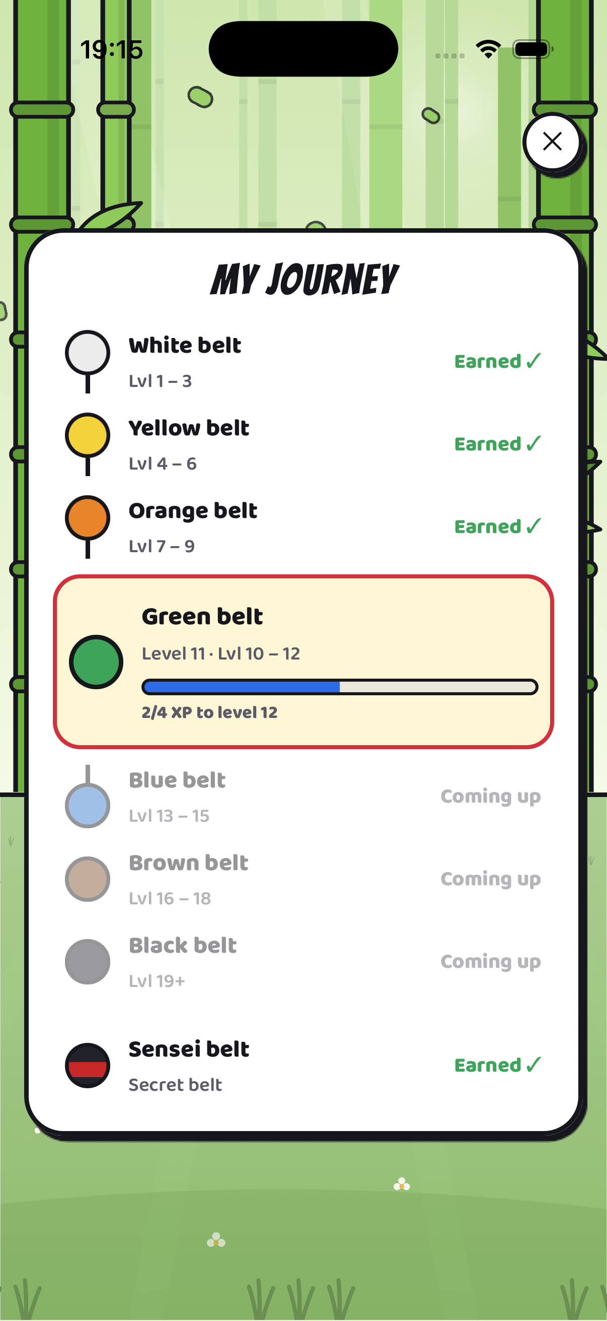 The My journey screen: the ladder of belts and the experience bar