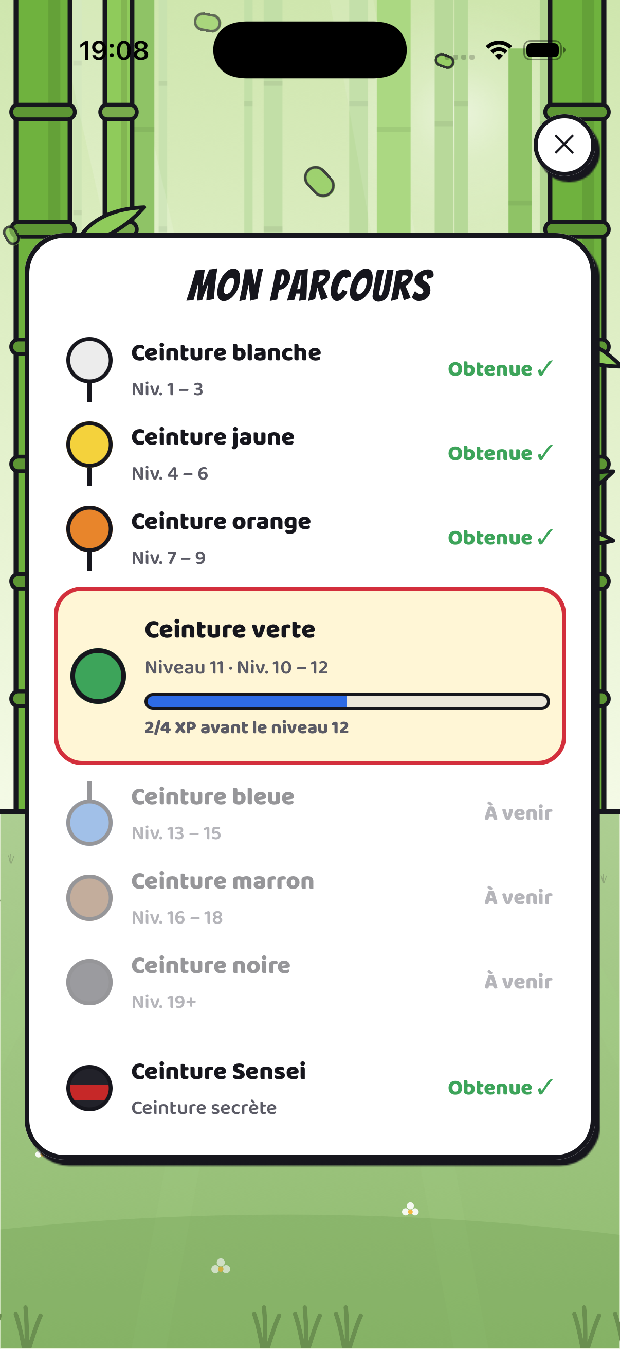 L’écran Mon parcours : l’échelle des ceintures et la barre d’expérience